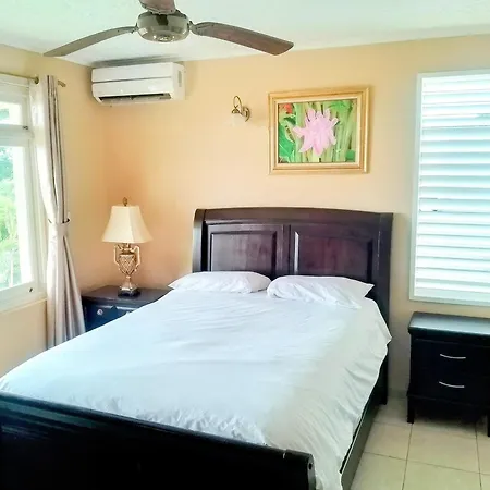 Ocho Rios 2 Bedroom Apartment/Flat